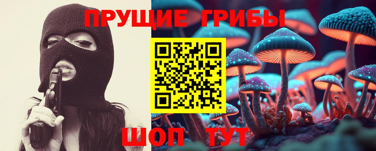 Моздок  где можно купить   Вход с VPN  Псилоцибиновые грибы прущие грибы 